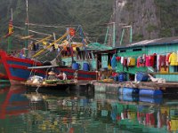 Coastal Life of Cat Ba Island (Vietnam)